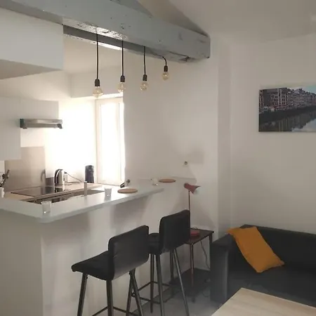 Charmant Duplex En Plein Centre De Bayonne