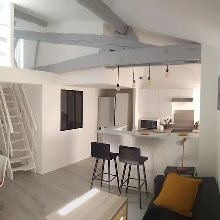 Charmant Duplex En Plein Centre De Appartement Bayonne